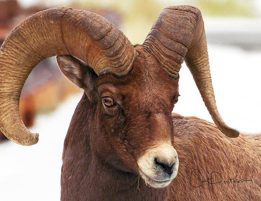 Note Cards - GOTTA HAVE ATTITUDE