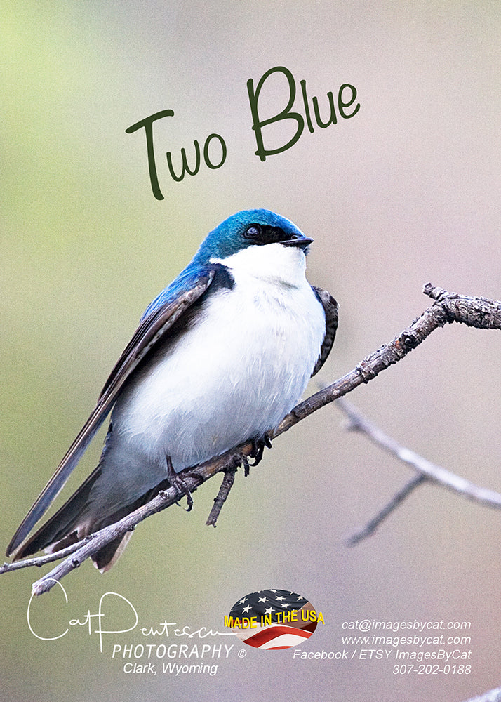 Greeting Card - TWO BLUE