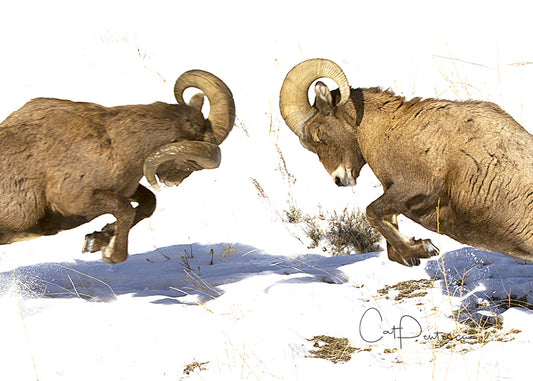 Greeting Card - 3...2...1... IMPACT!