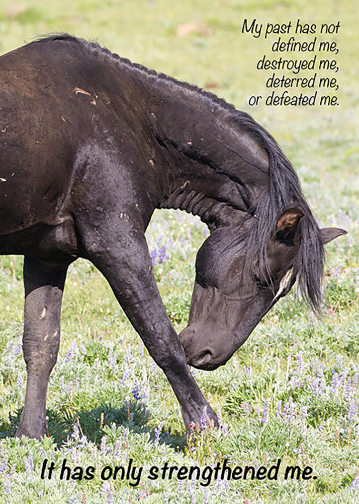 Greeting Card - STRENGTHEN ME