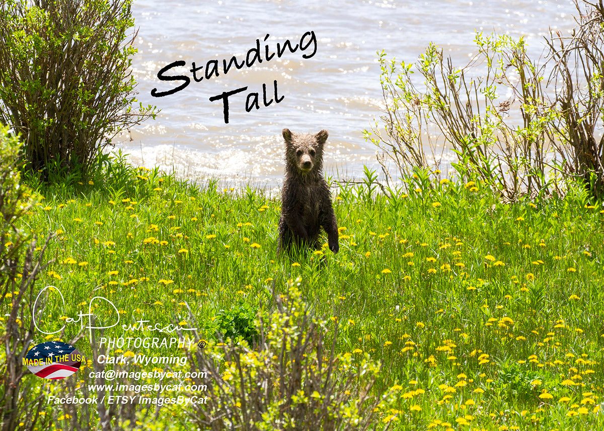 Greeting Card - STANDING TALL