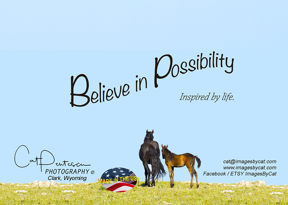 Greeting Card - BELIEVE IN POSSIBILITY