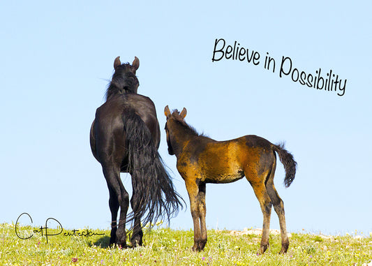 Greeting Card - BELIEVE IN POSSIBILITY