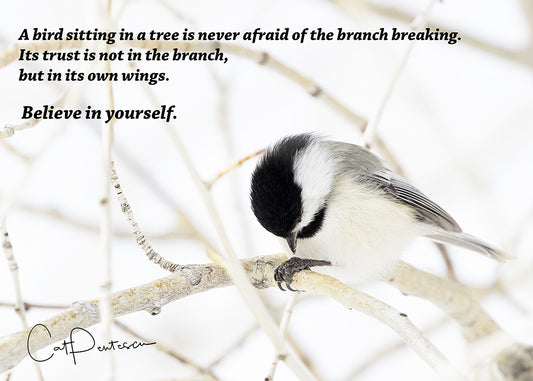 Greeting Card - BELIEVE IN YOURSELF