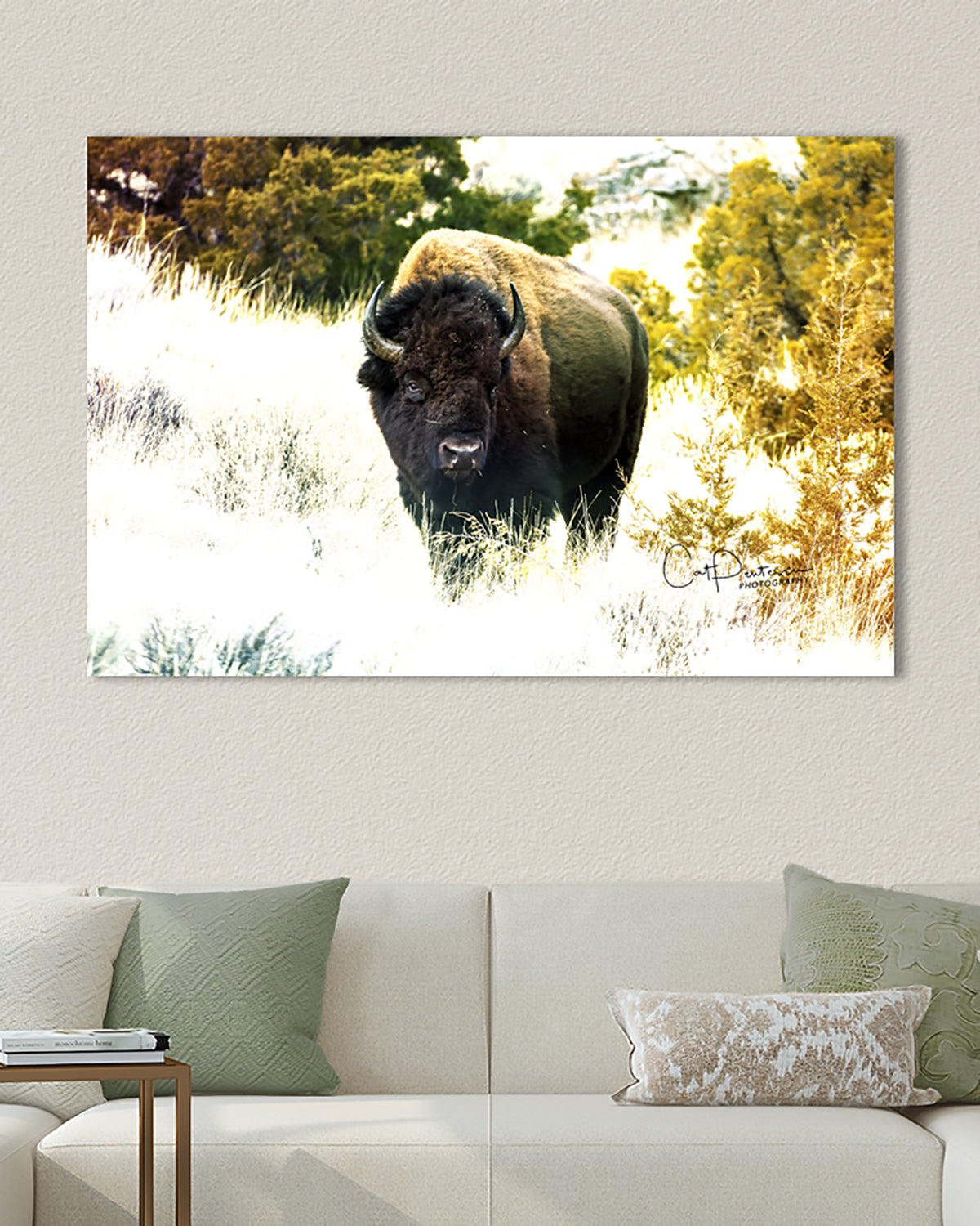 Boldly Buffalo - image of wild buffalo enhanced to create colorful work of art. shown on wall over couch. Wildlife Bison Wall decor. Cat Pentescu Photography