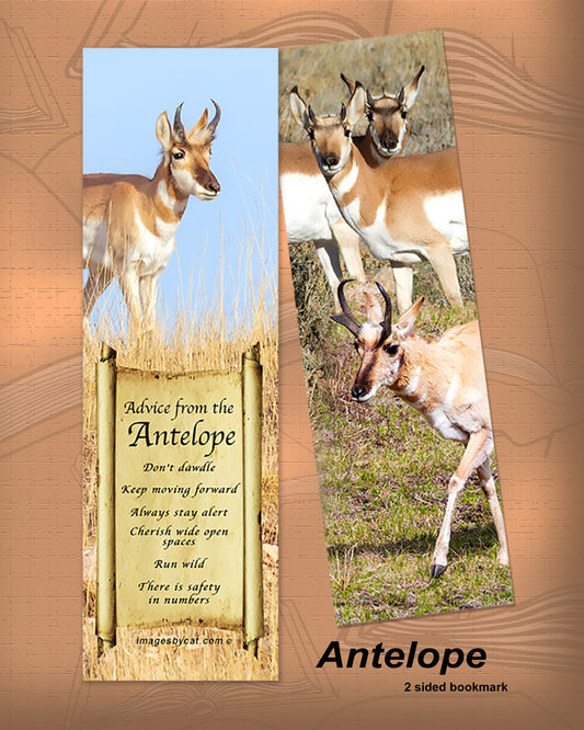 ADVICE FROM THE ANTELOPE BOOKMARK