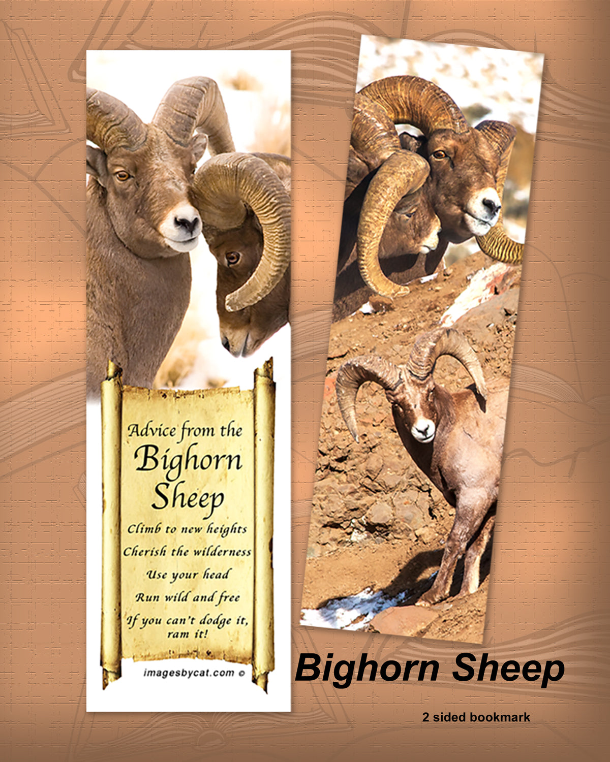 ADVICE FROM THE BIGHORN SHEEP BOOKMARK