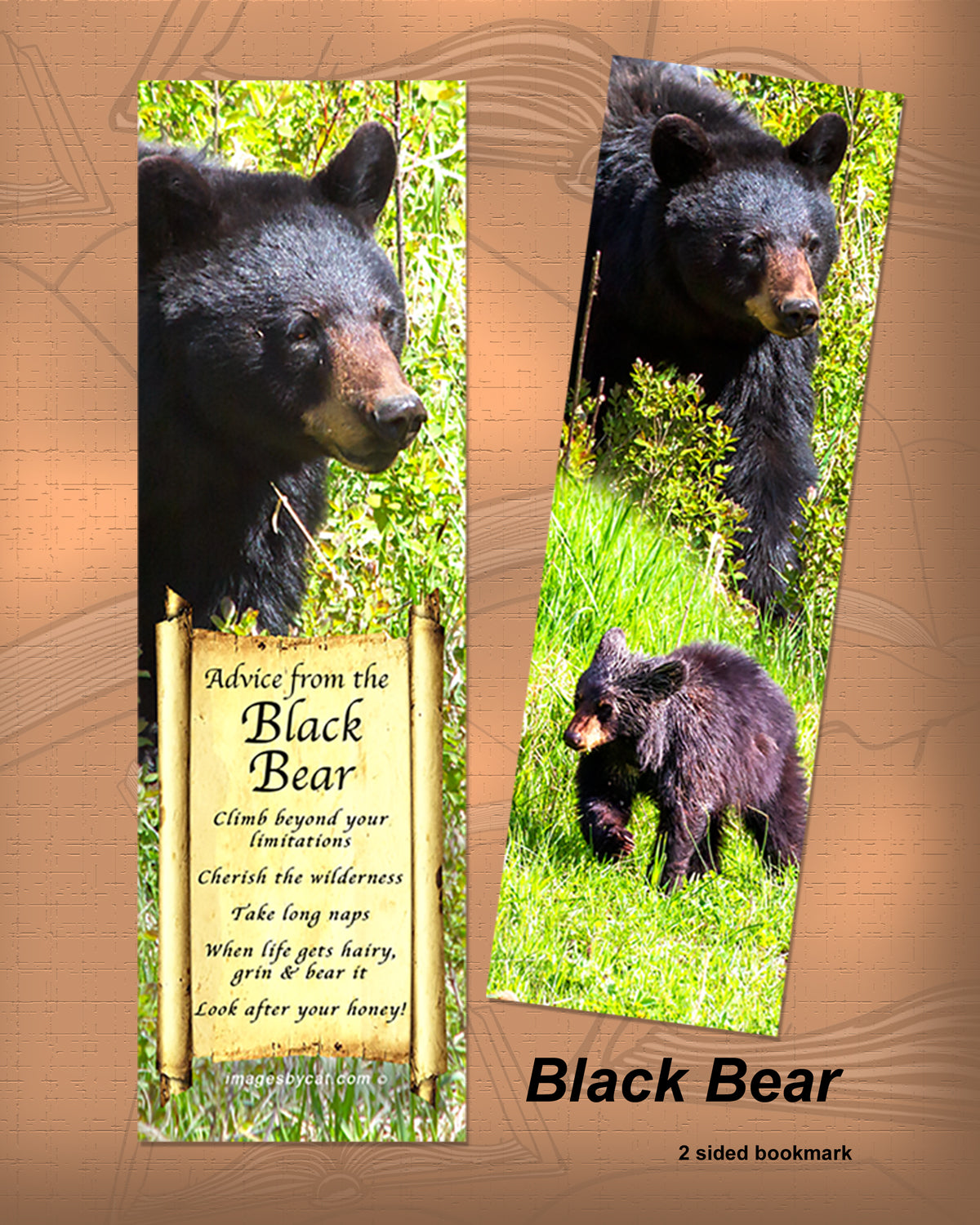 ADVICE FROM THE BLACK BEAR BOOKMARK