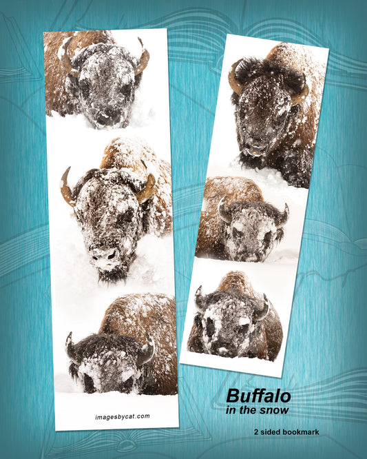 SNOWY BUFFALO BOOKMARK