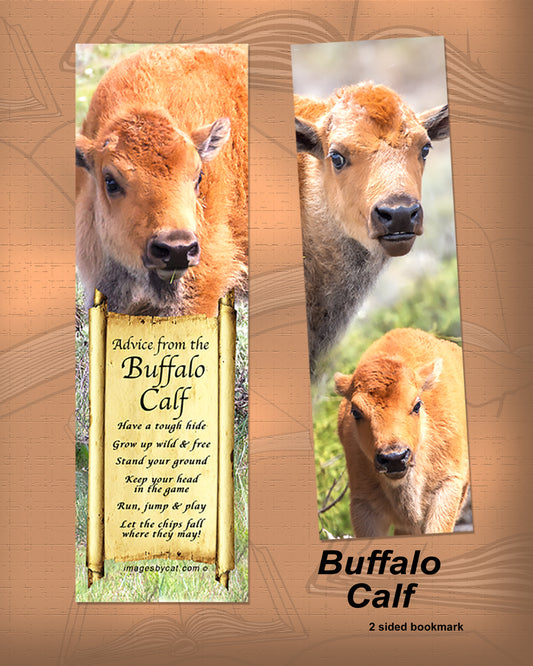 ADVICE FROM THE BUFFALO CALF BOOKMARK