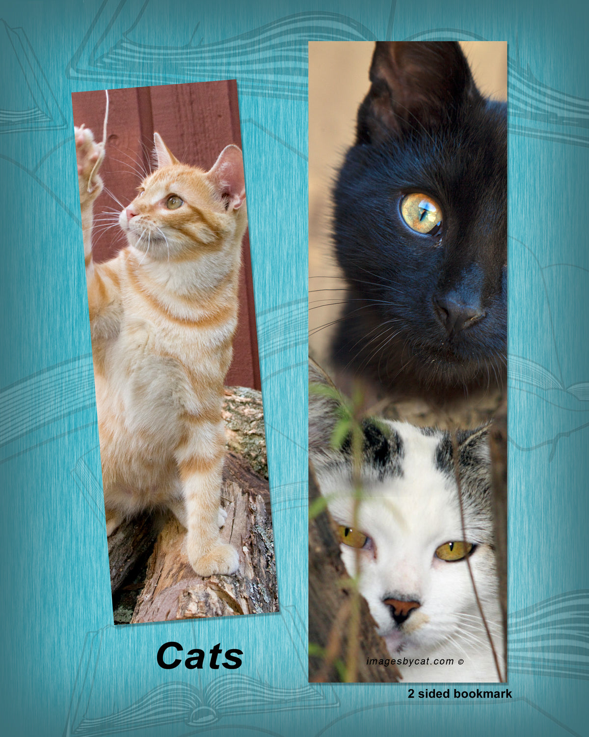 KITTY CATS BOOKMARK