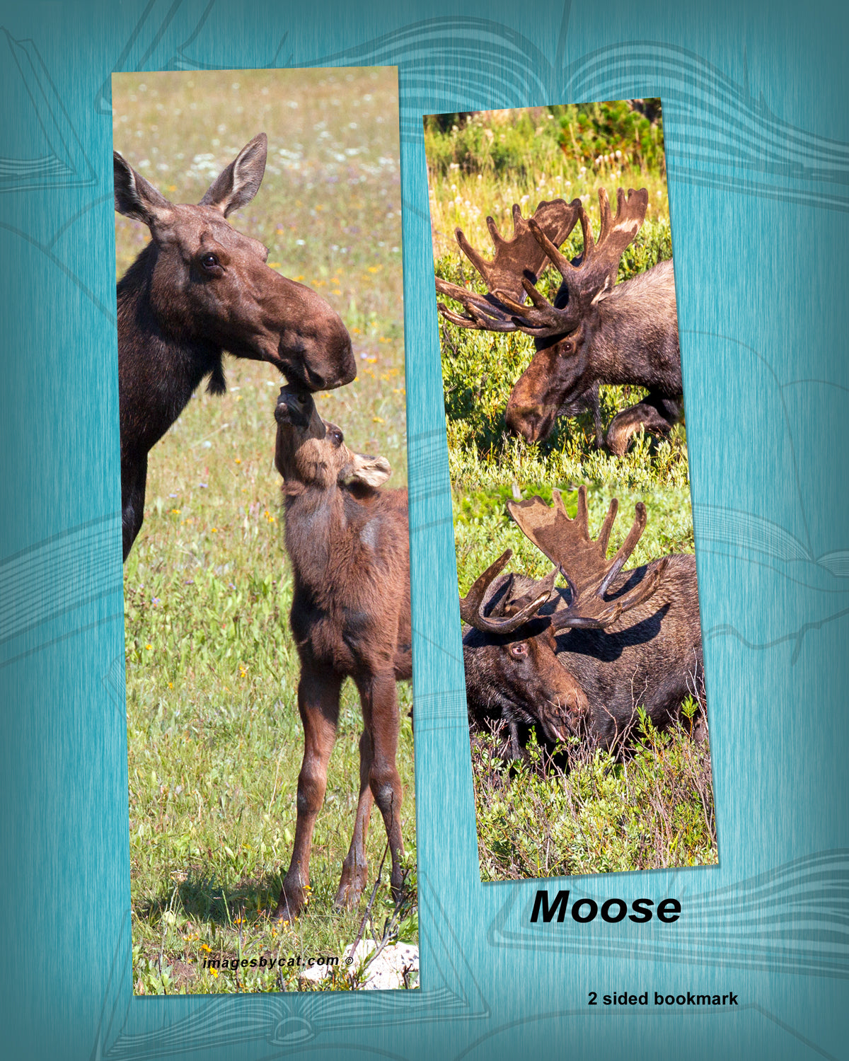 MOOSE BOOKMARK