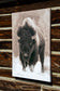 Artistic photography Buffalo Wildlife Bison Sepia Classic  canvas gallery wrap on log wall. Wall Decor done in classic old time western Sepia . Cat Pentescu Photography