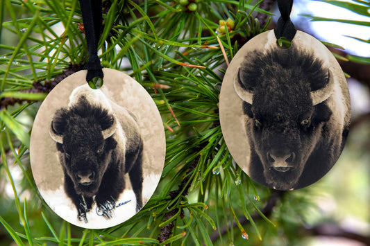 Buff A Lo; buffalo; bison; wildlife; ornament; metal; two sided ; Cat Pentescu;