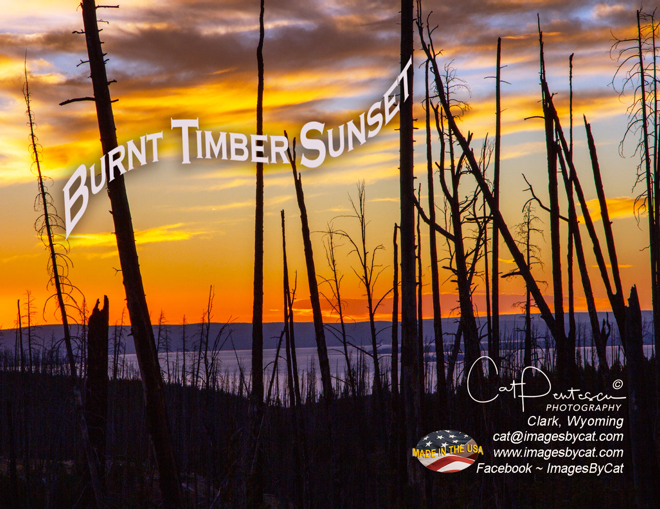Note Cards - BURNT TIMBER SUNSET
