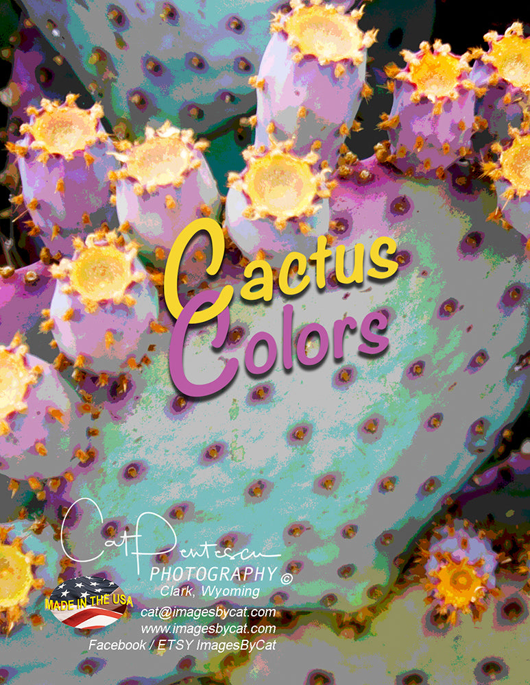 Note Cards - CACTUS COLORS