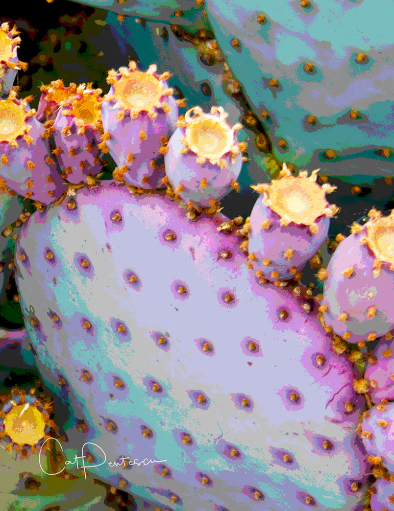 Note Cards - CACTUS COLORS