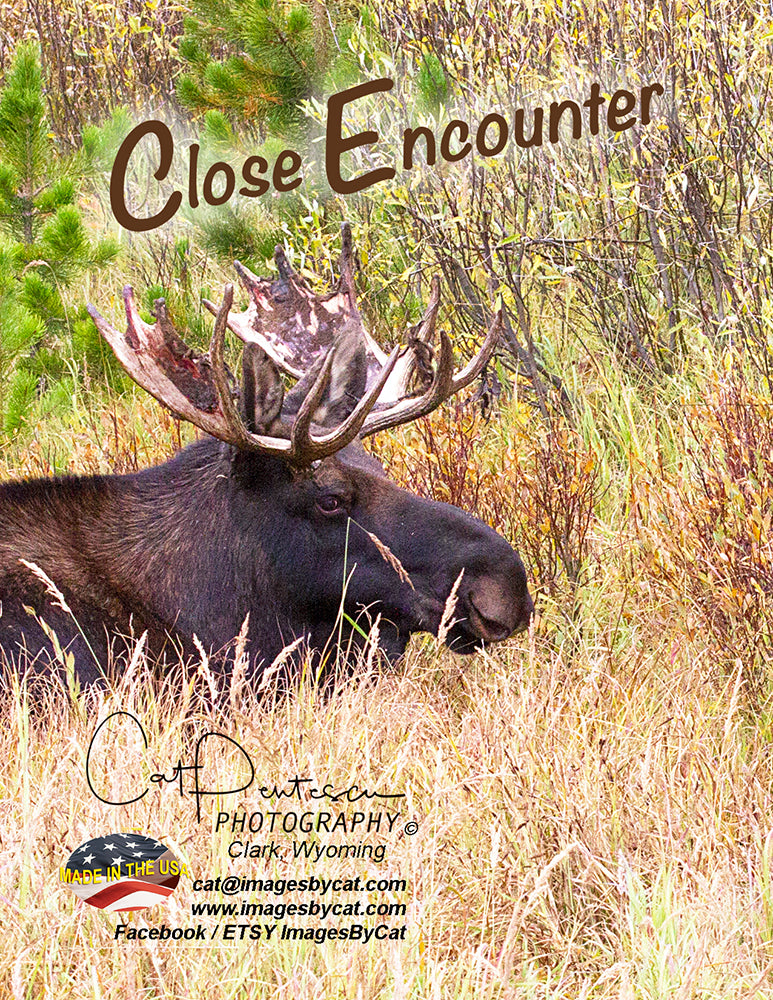 Note Cards - CLOSE ENCOUNTER