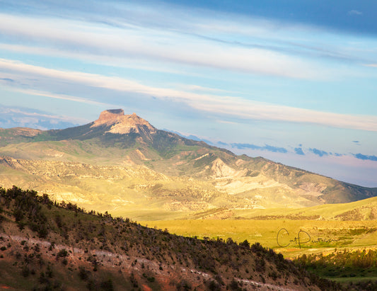 Note Cards - COLORS OF THE HEART