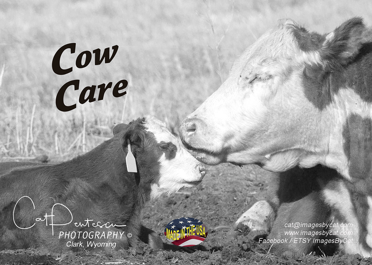 Greeting Card - COW CARE