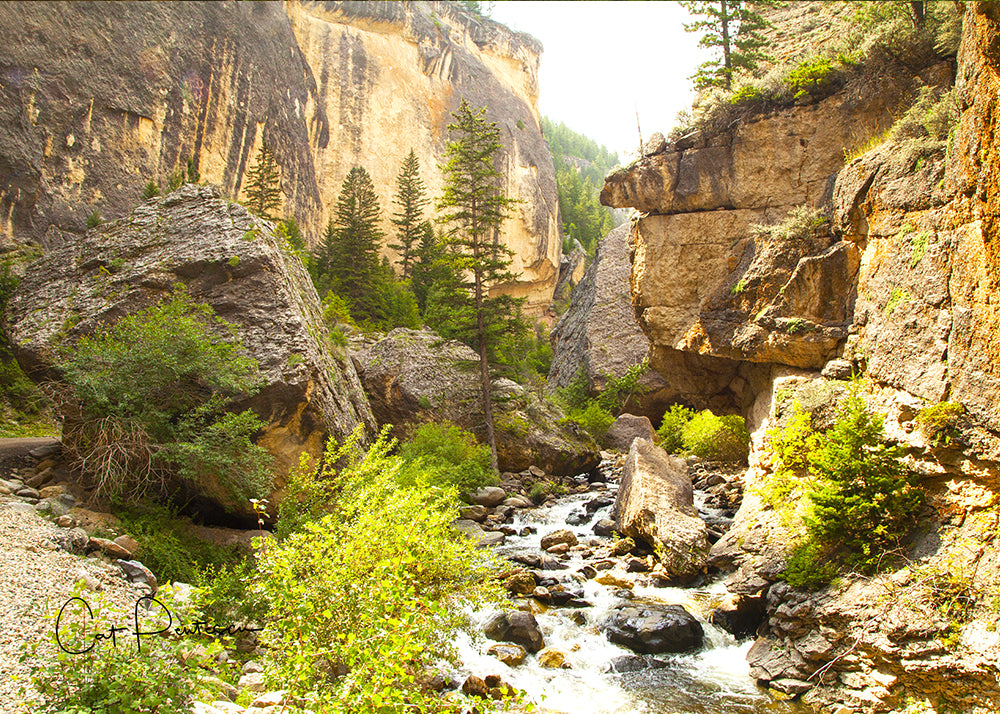 Greeting Card - CRAZY WOMAN CANYON