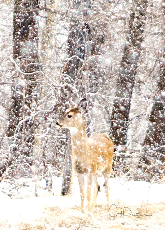 Greeting Card - WINTER WONDER