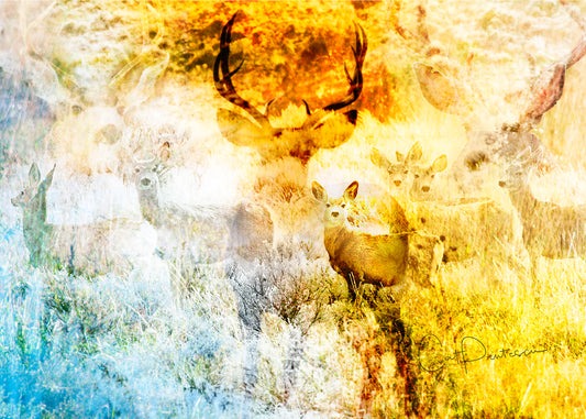 Greeting Card - DEER HUNT