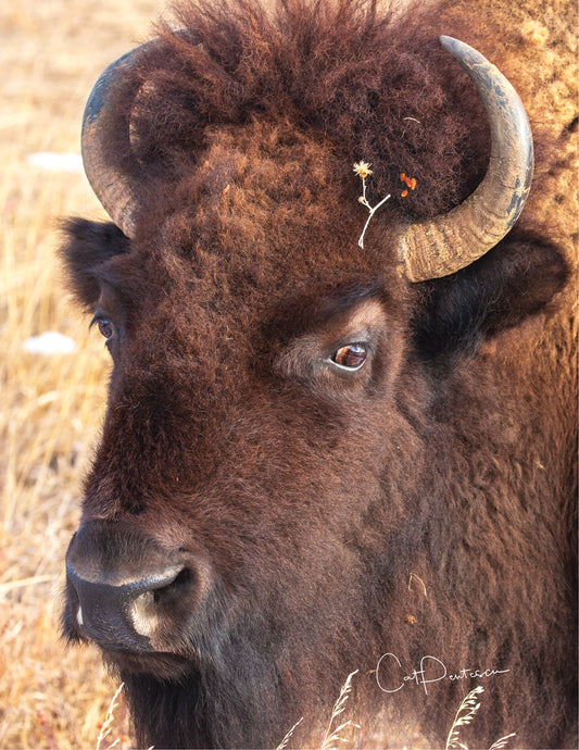 Note Cards - FLOWER CHILD