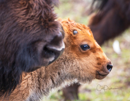 Note Cards - FOCUS ON THE FUTURE
