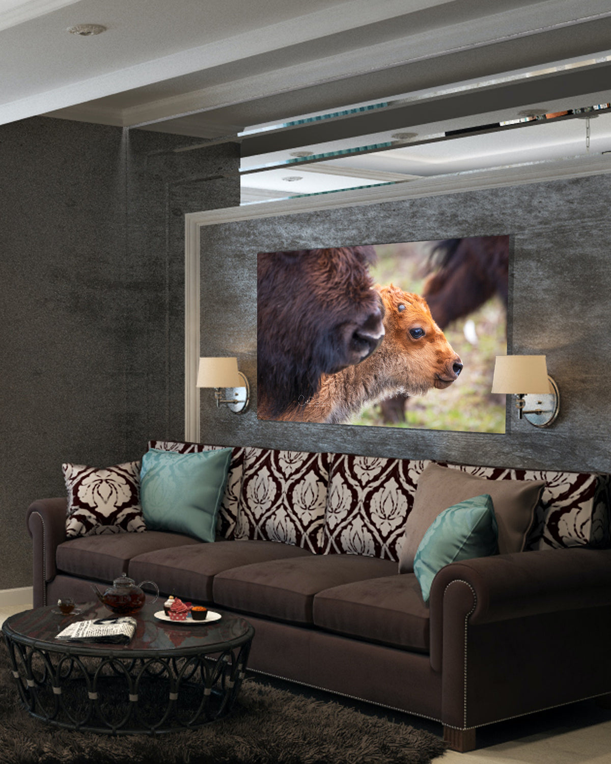 Buffalo bison red dog newborn calf focused on its future with mom by its side on living room wall.
