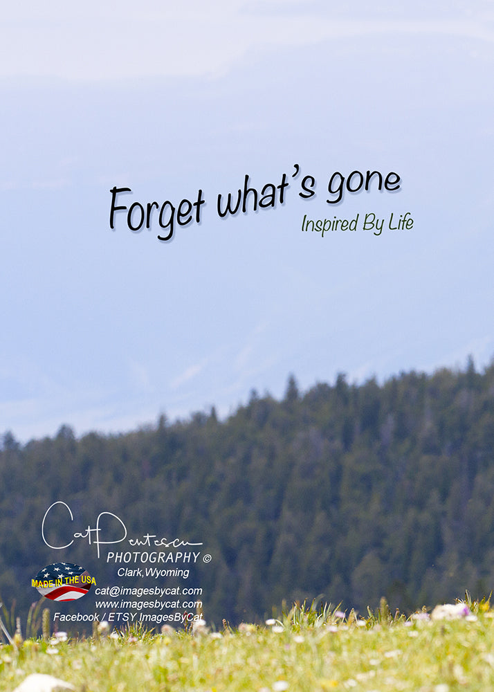 Greeting Card - FORGET WHAT'S GONE
