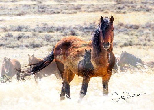 Greeting Card - GENERATIONS
