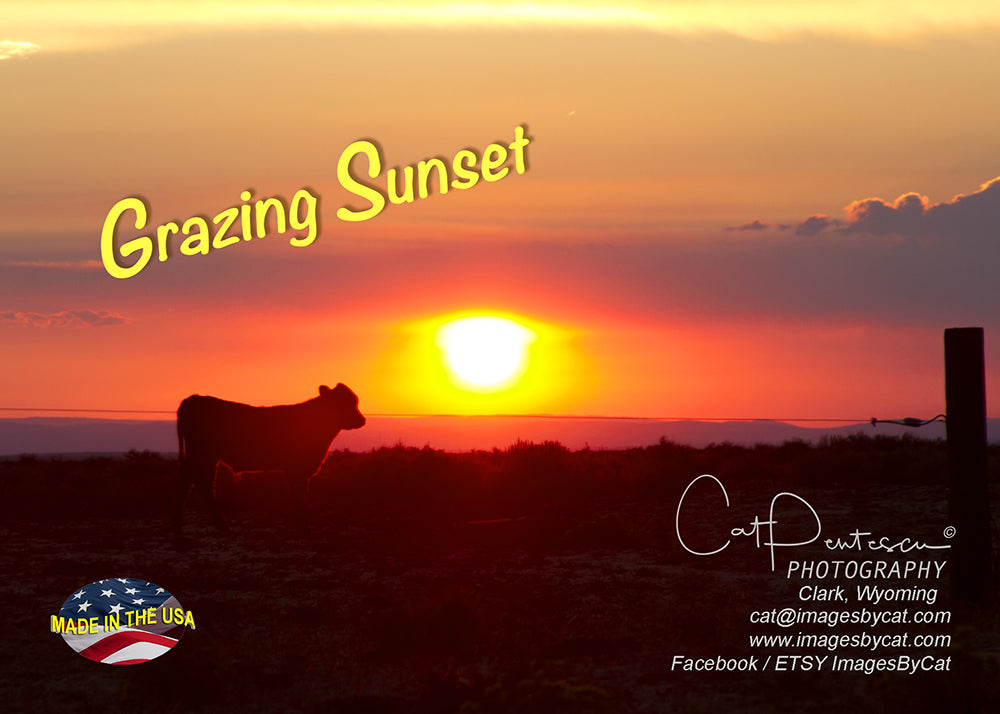 Greeting Card - GRAZING SUNSET