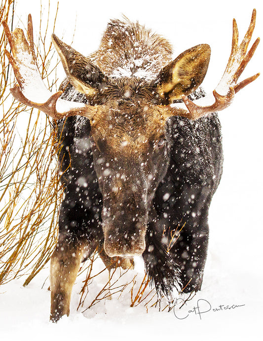 Note Cards - HEAD ON