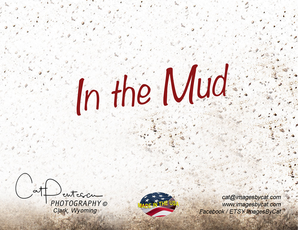 Note Cards - IN THE MUD