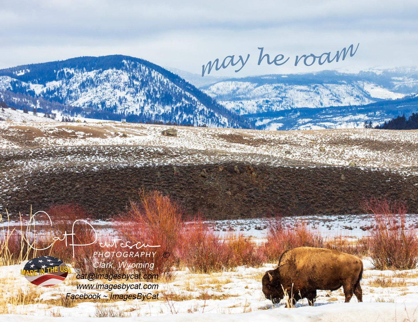 Note Cards - MAY HE ROAM