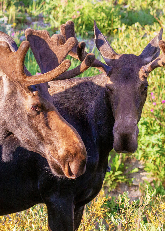 Greeting Card - BOYS CLUB