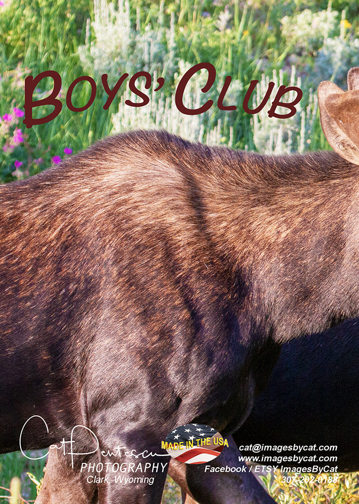 Greeting Card - BOYS CLUB