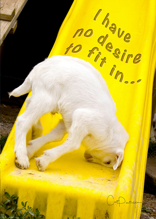 Greeting Card - NO DESIRE