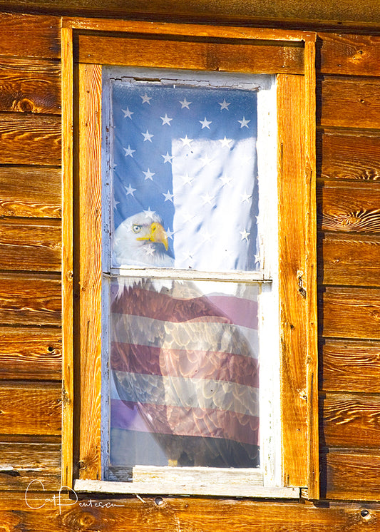 Greeting Card - PANE OF FREEDOM - BALD EAGLE