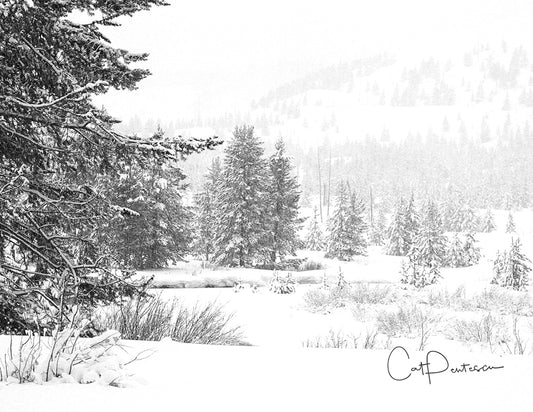 Note Cards - PEACE IN THE SNOW