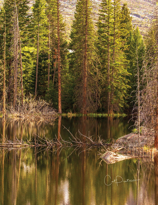 Note Cards - A PEACEFUL PLACE