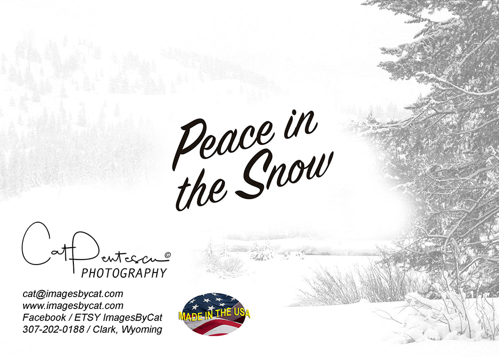 Greeting Card - PEACE IN THE SNOW