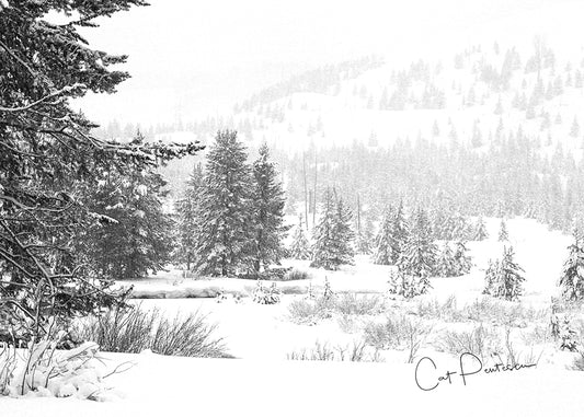 Greeting Card - PEACE IN THE SNOW