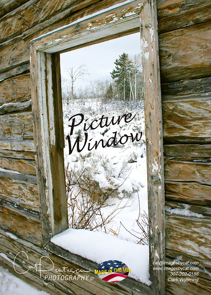 Greeting Card - PICTURE WINDOW