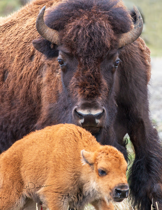 Note Cards - PROTECTED