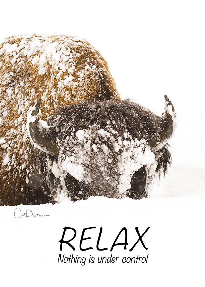 Greeting Card - RELAX