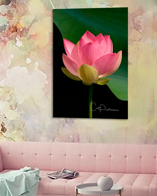 SIMPLE ELEGANCE