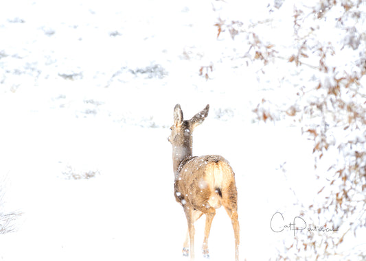 Greeting Card - SNOWY JOURNEY