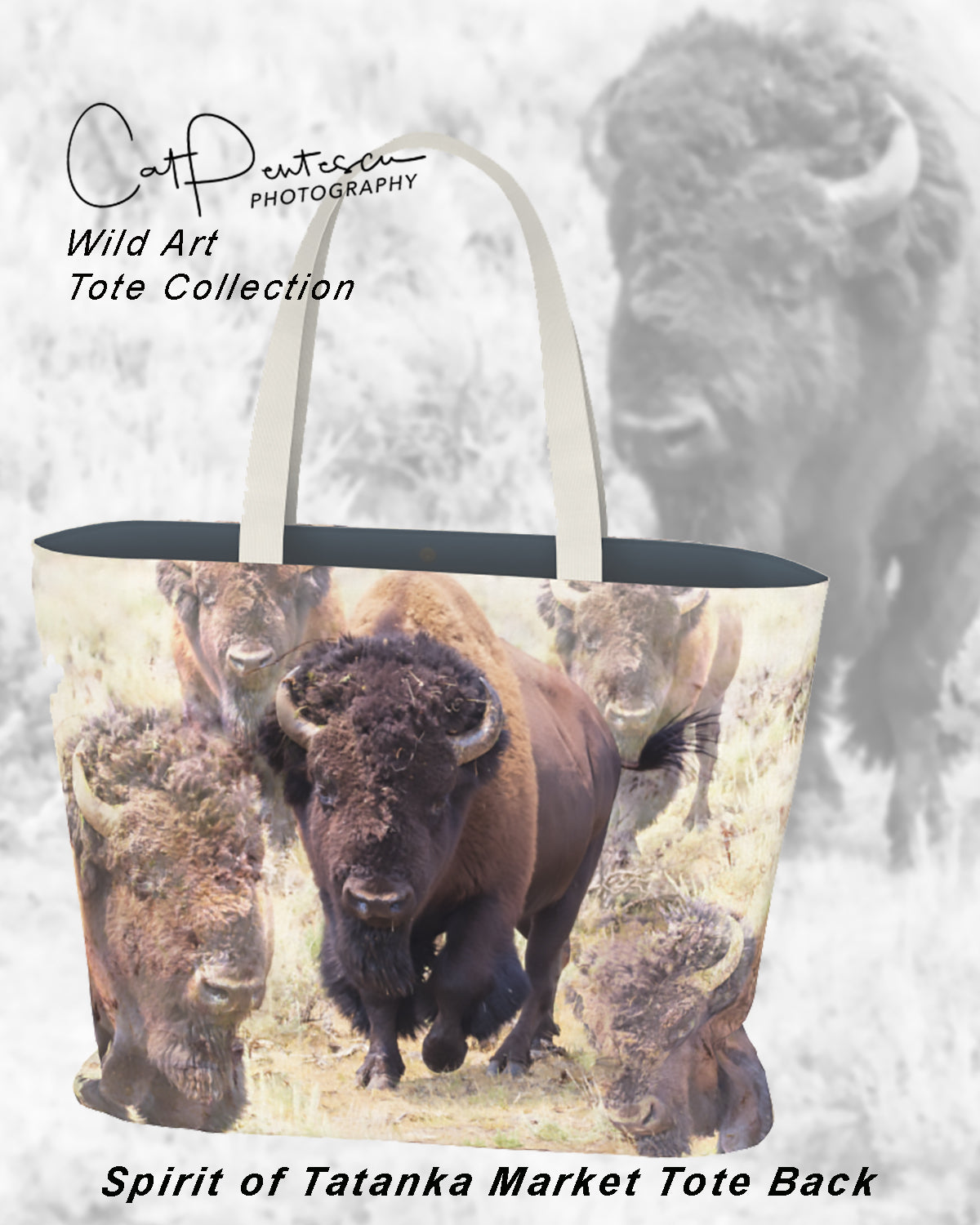 SPIRIT OF TATANKA MARKET TOTE